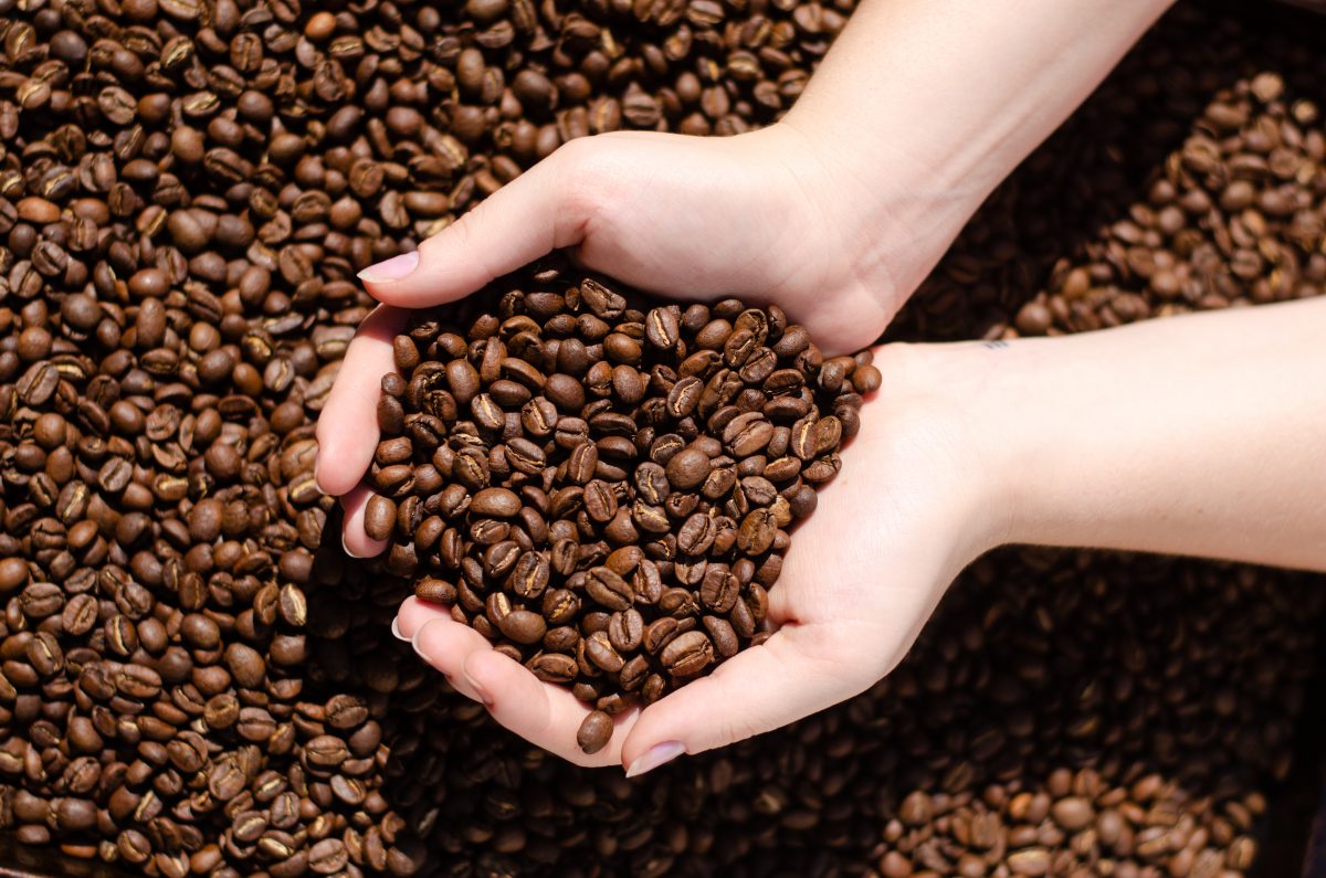 Costa Rica Tarrazu La Pastora Tangent Coffee Roasters